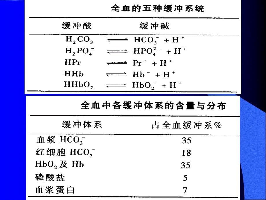 酸碱紊乱生理机制_第5页