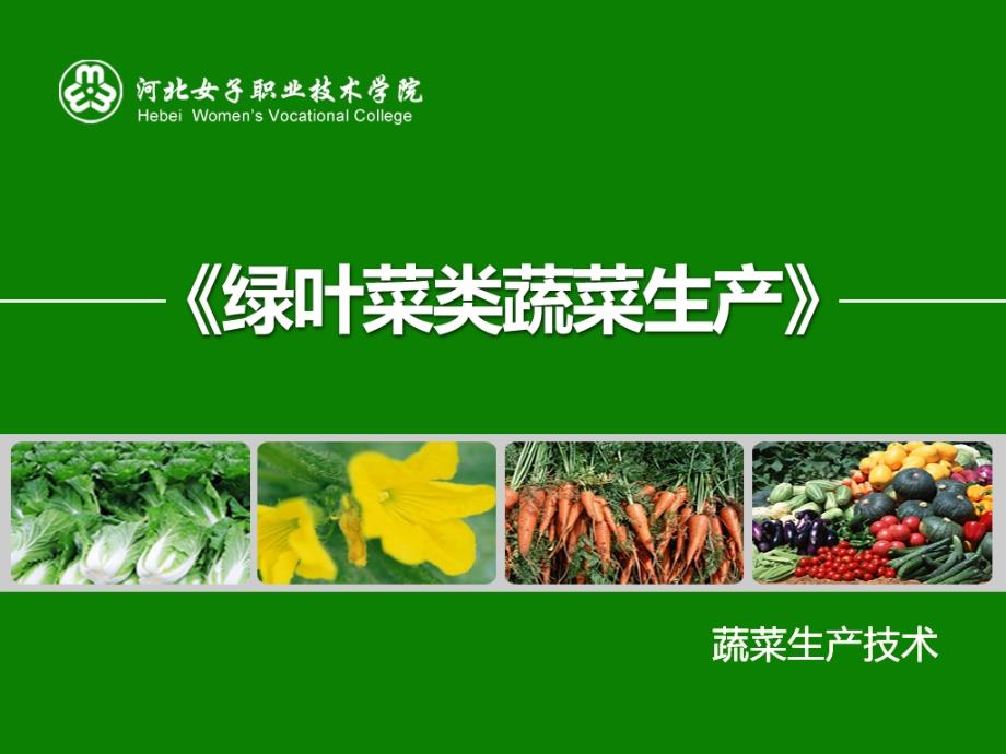 绿叶菜类蔬菜_第1页