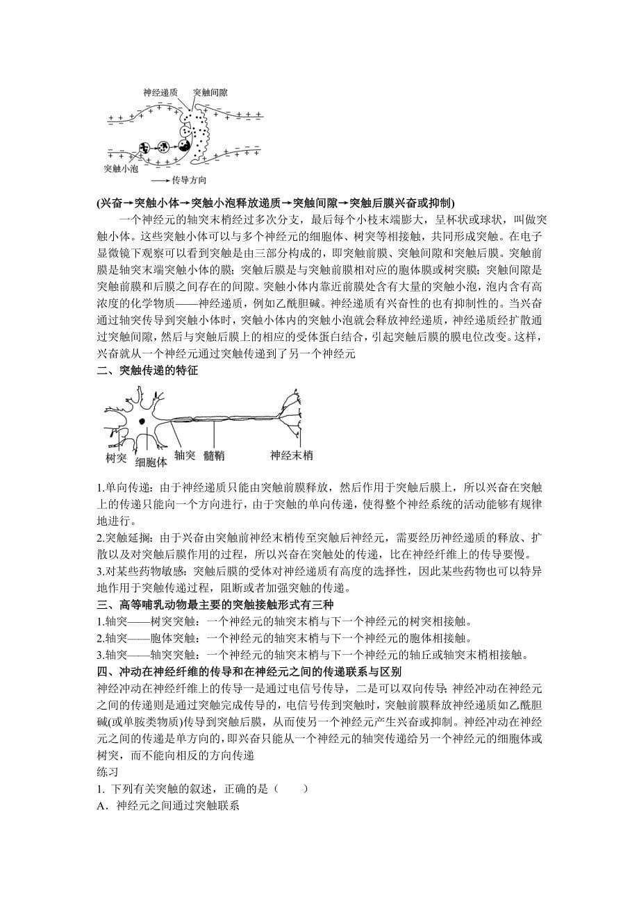 通过神经系统的调节讲义_第5页