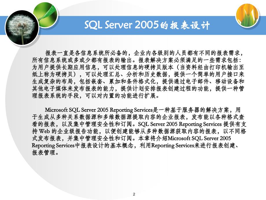 第十四章SQLServer2005的报表设计_第2页