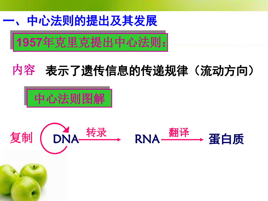 good必修2第四章第2节基因对性状的控制_第3页