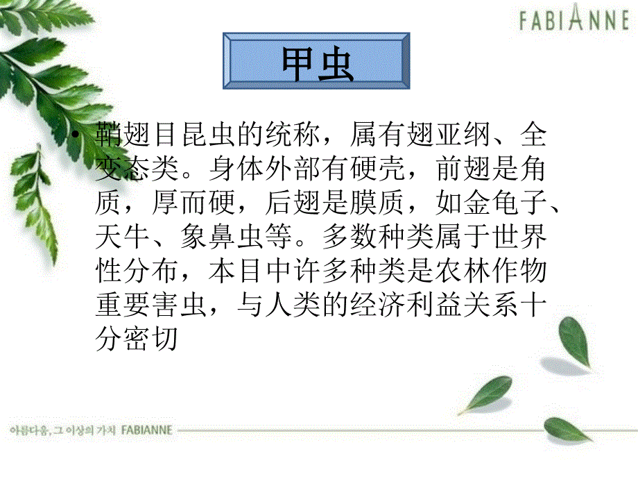 昆虫标本制作——甲虫 (标准)新_第2页