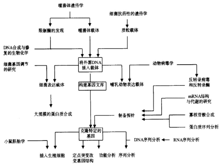 第五章分子生物学研究方法上_第3页