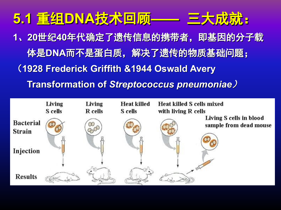 第五章分子生物学研究方法上_第4页