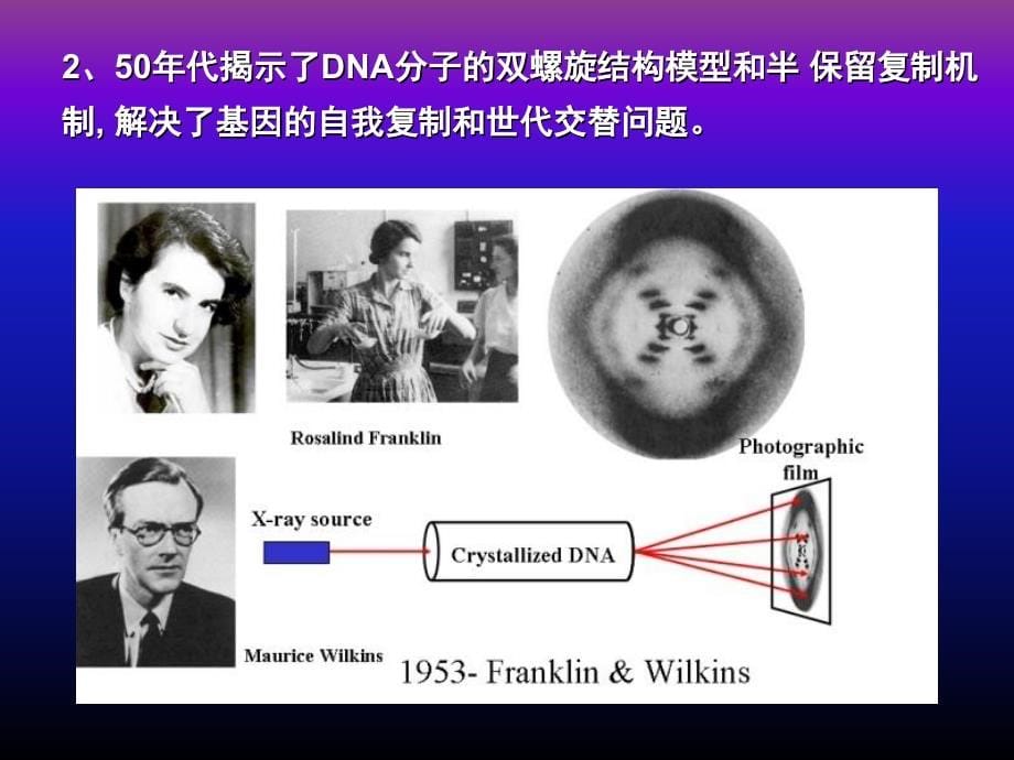 第五章分子生物学研究方法上_第5页