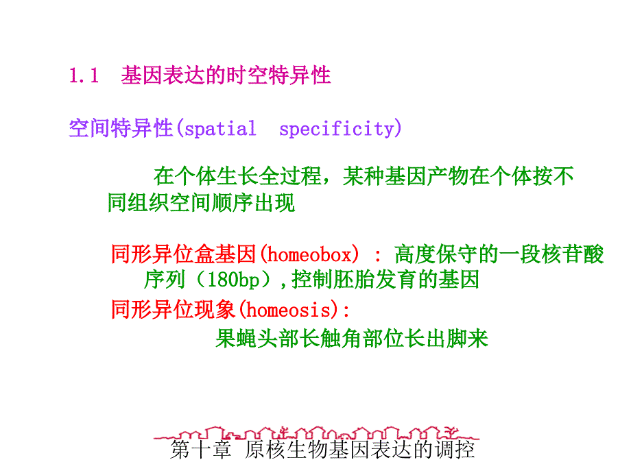 分子生物学课件原核生物基因表达的调控_第4页