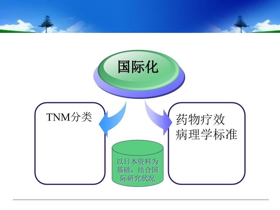 新版日本胃癌规约和指南的解读_第5页