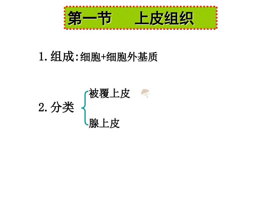 基本组织上皮组织和疏松结缔组织_第2页