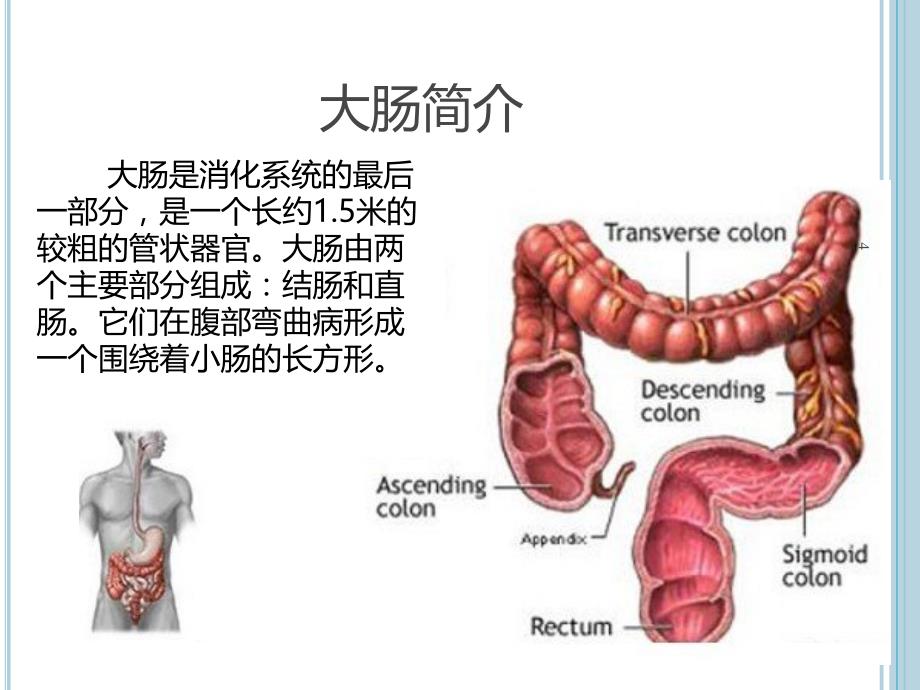 大肠癌早期诊断技术_第4页