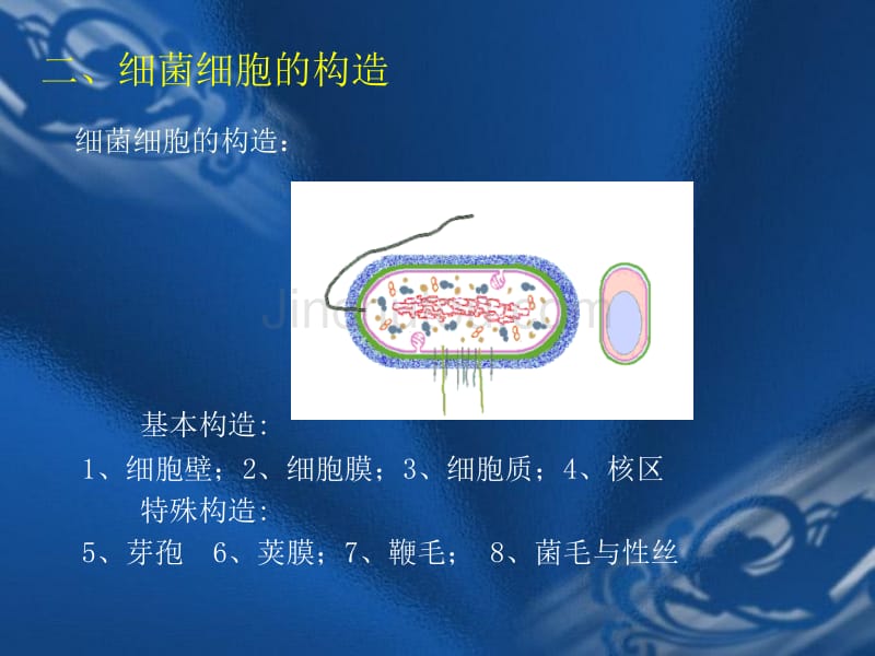 原核微生物的形态构造和功能_第4页