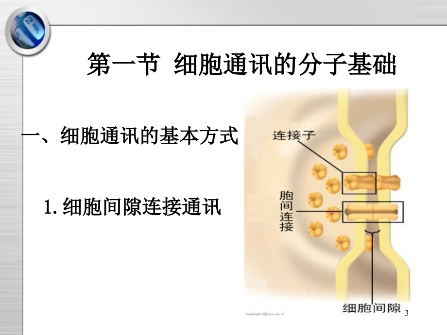 细胞通讯与信号转导研_第3页