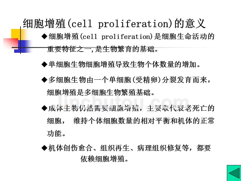 细胞增殖及其调控_第2页