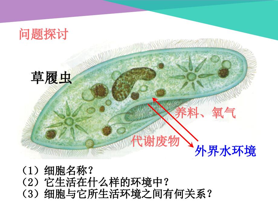 人教版高中生物必修三--11细胞生活的环境_第3页