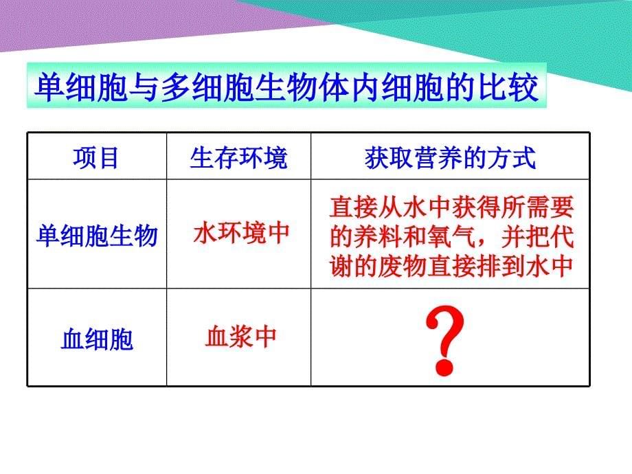 人教版高中生物必修三--11细胞生活的环境_第5页