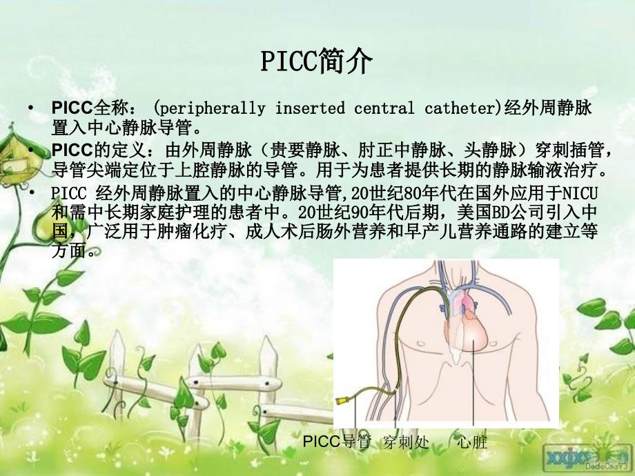 PICC的置管维护及常见并发症_第1页