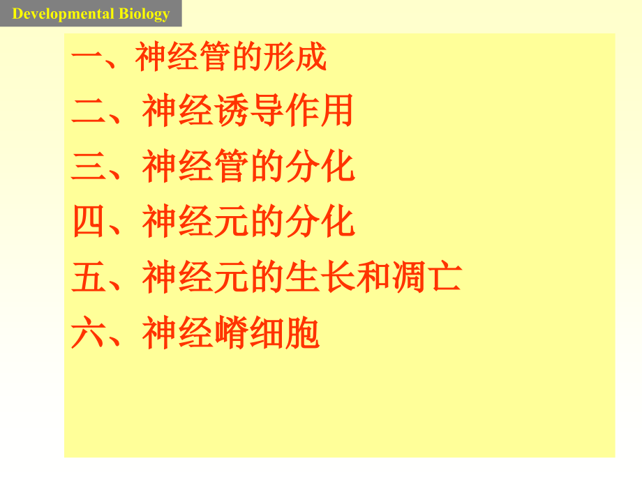 yj神经胚形成及神经系统发育1_第3页