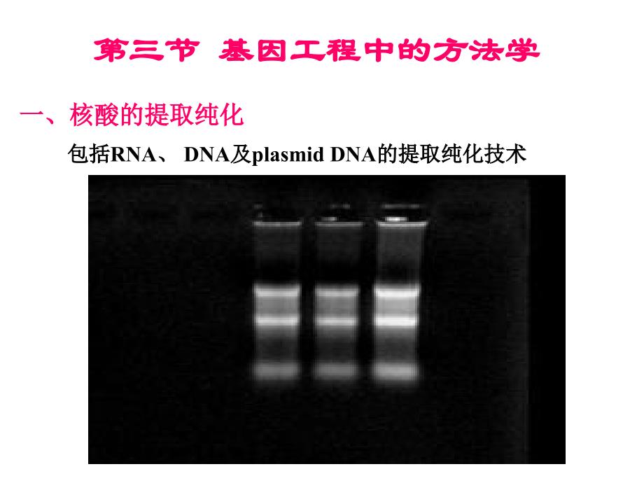 基因工程基本原理简介_第4页