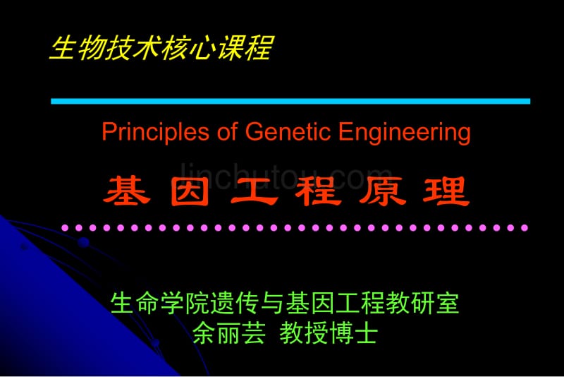 基因克隆的载体与受体_第2页