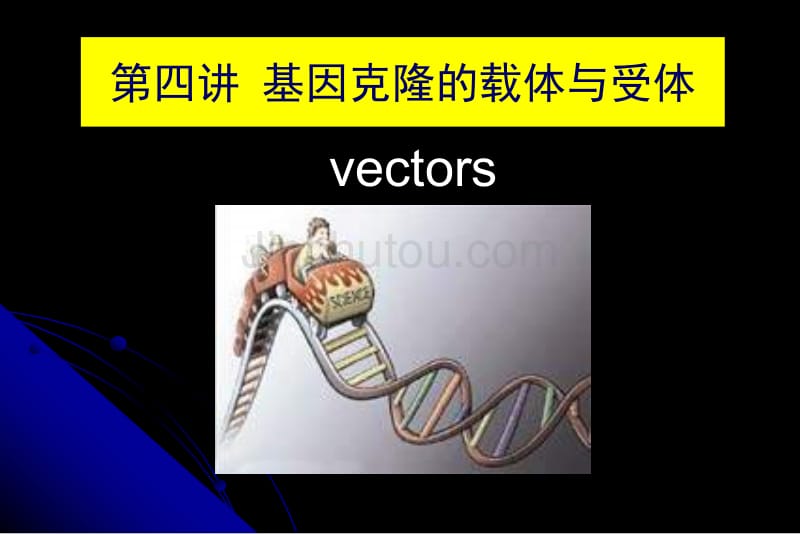 基因克隆的载体与受体_第4页