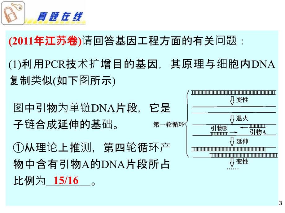 高三总复习从杂交育种到基因工程_第3页