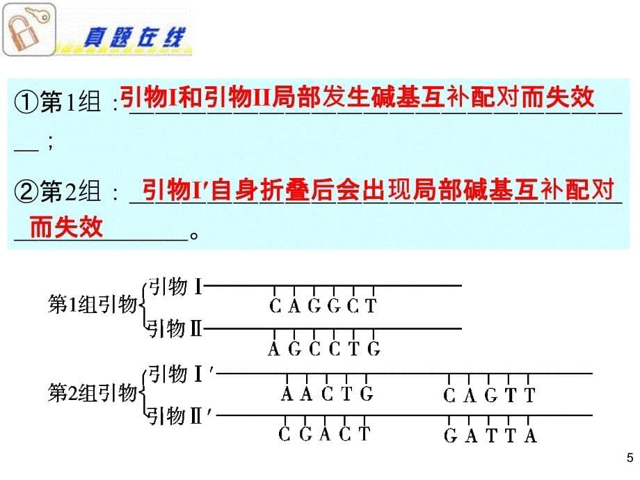 高三总复习从杂交育种到基因工程_第5页