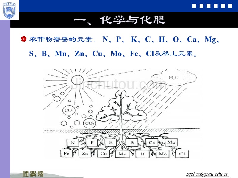 化学与粮食、食品安全_第3页