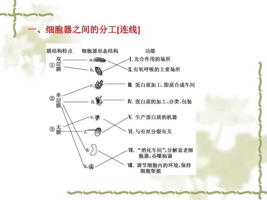 细胞器——系统内的分工与合作_第5页