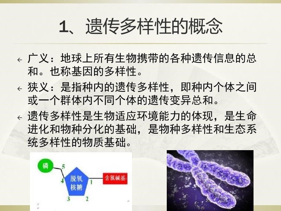 人教生物必修3——生物多样性及其保护_第5页