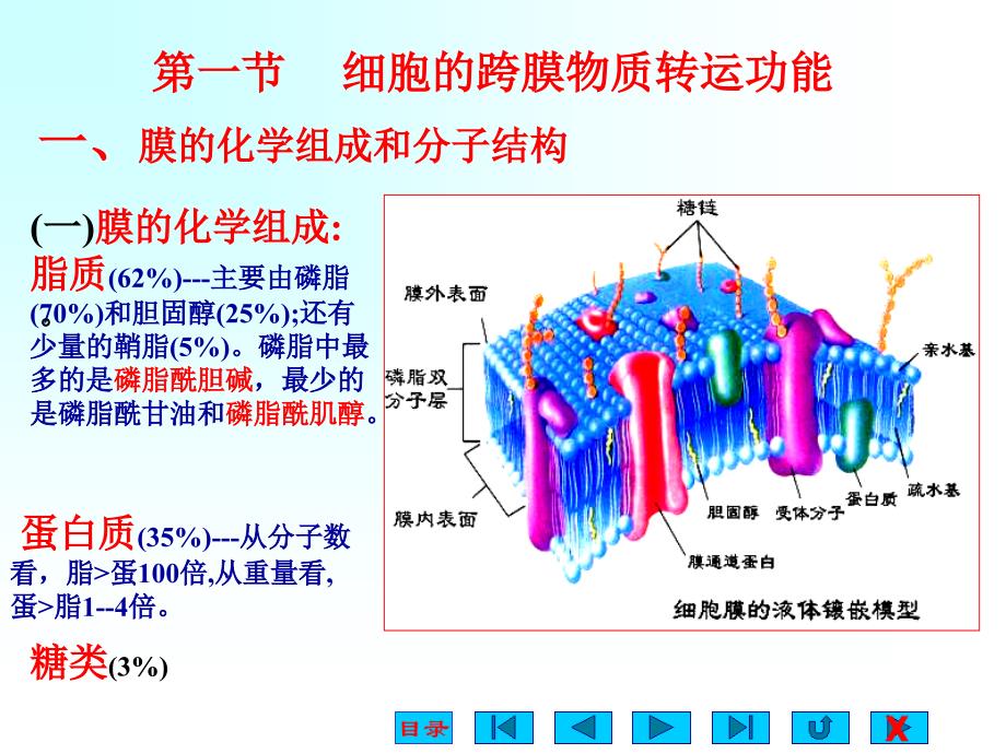 生理学第二章细胞的基本功能_第2页