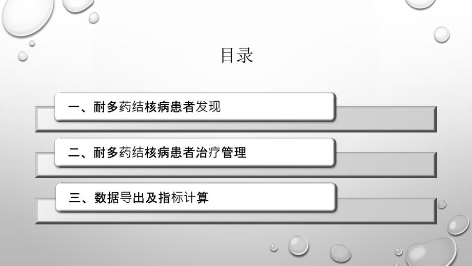 耐多药结核病防治工作流程_第2页