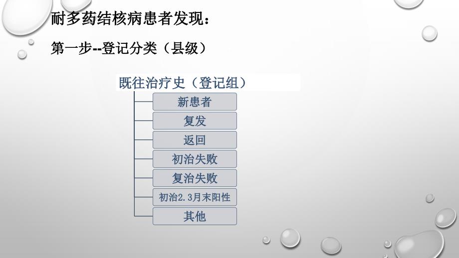 耐多药结核病防治工作流程_第3页