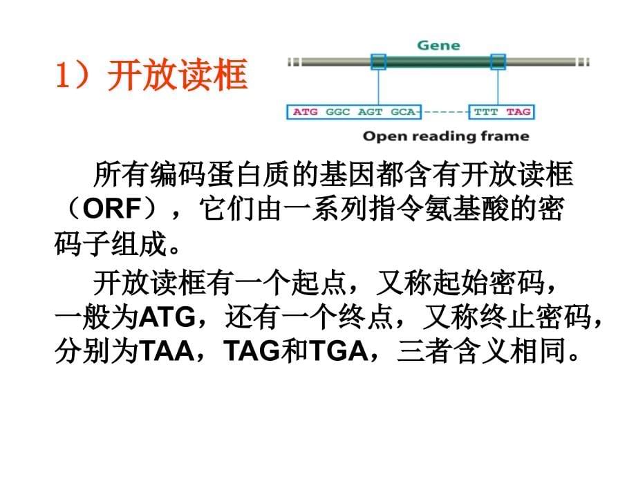 基因组序列诠释functiongenomics_第5页