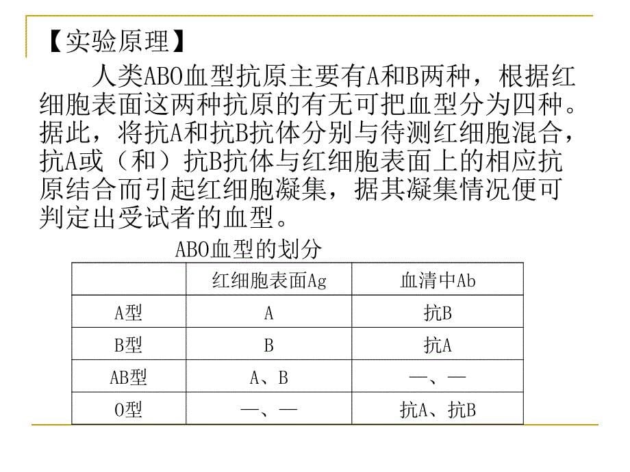 HBSAg测定和ABO血型鉴定_第5页