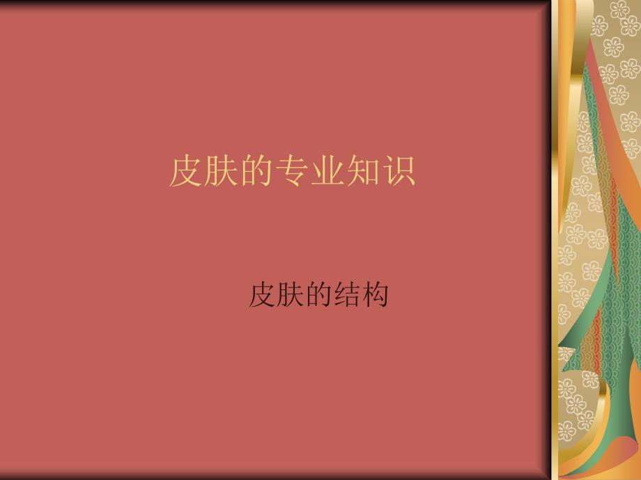 美容行业-皮肤的专业知识(PPT_33页)_第1页