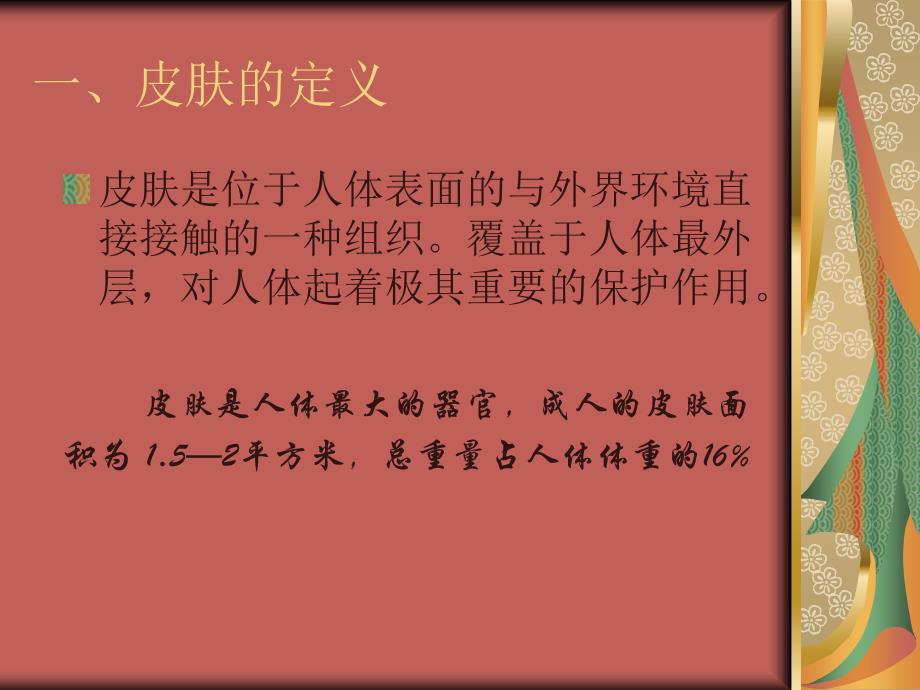 美容行业-皮肤的专业知识(PPT_33页)_第2页