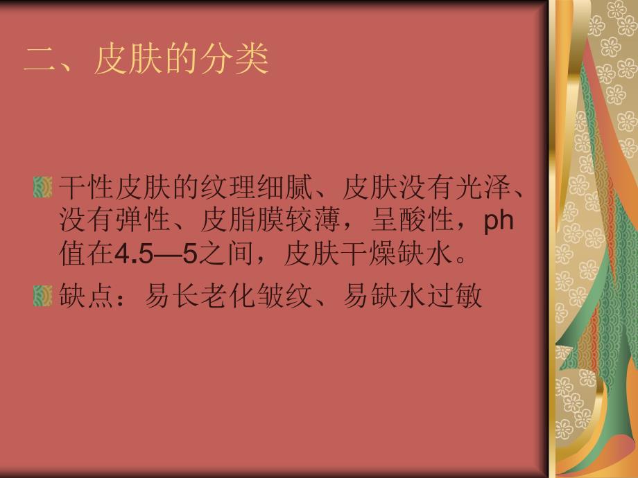 美容行业-皮肤的专业知识(PPT_33页)_第4页