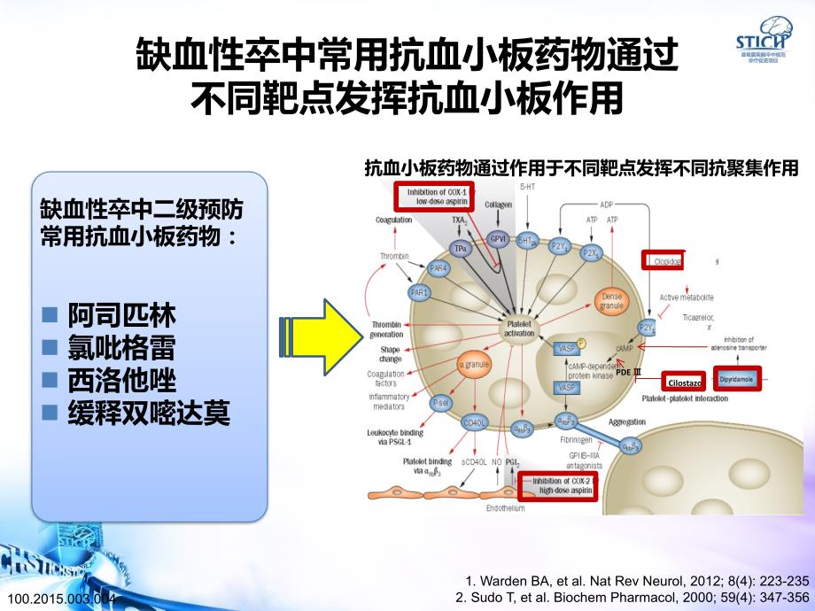 缺血性卒中抗血小板治疗的选择疗效和安全的两全之策_第4页