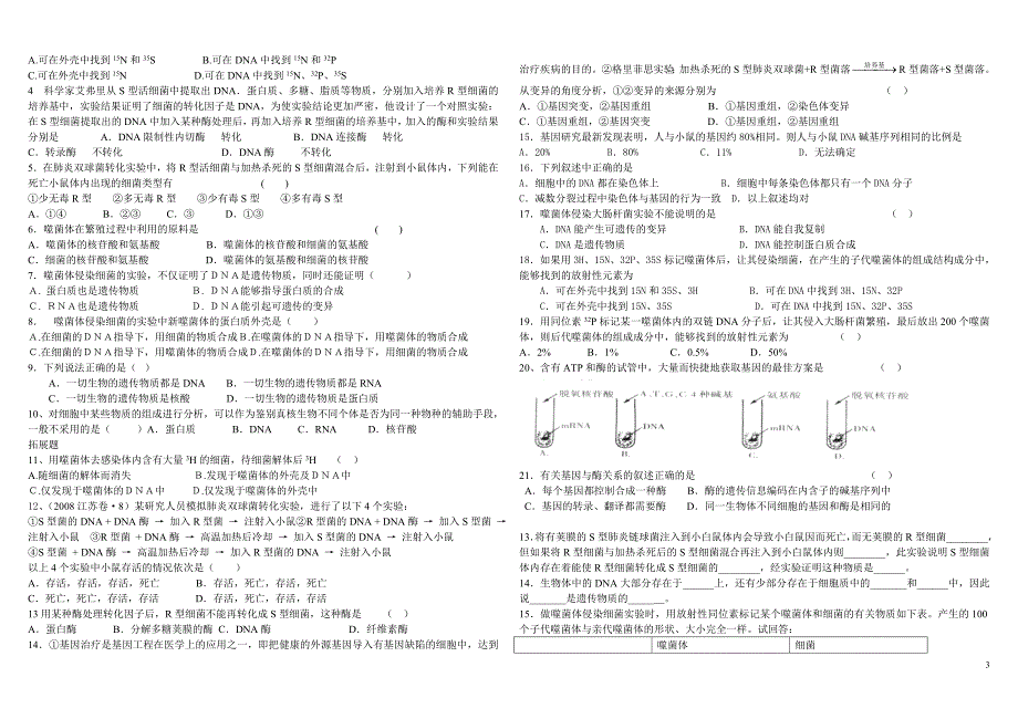 dan是主要的遗传物质复习精美版_第3页