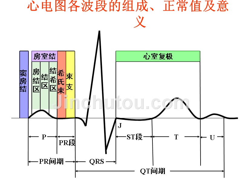 蔡英心电图_第2页