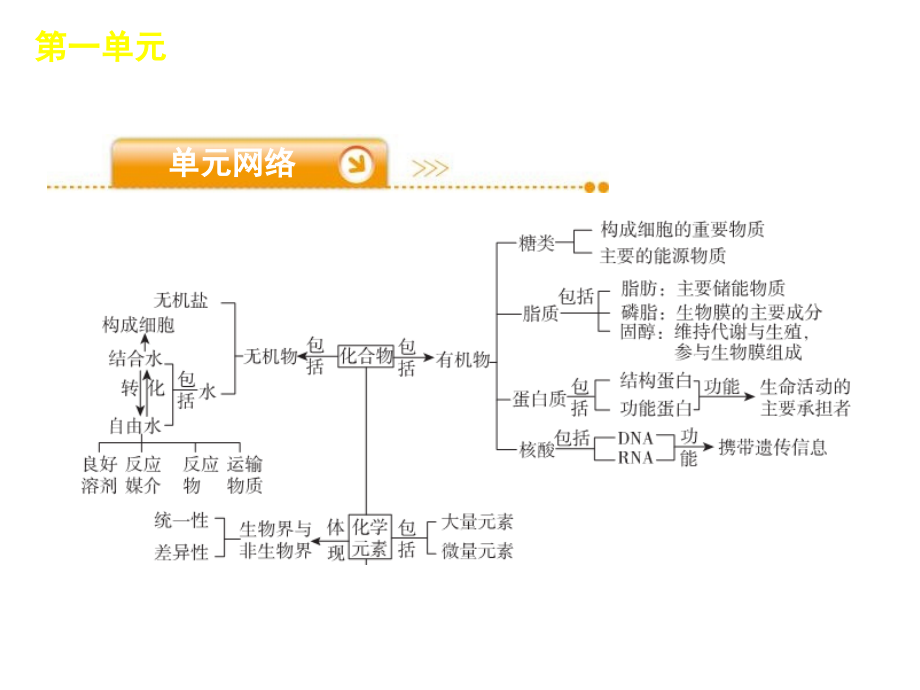 二轮复习-生命系统的细胞基础_第3页