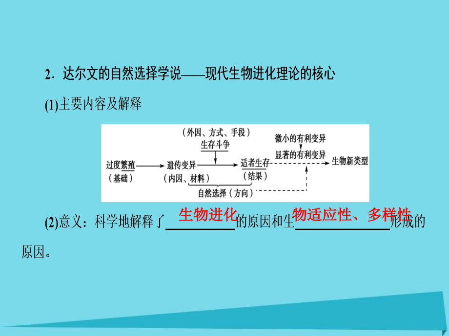 2017版高考生物一轮复习生物的变异育种与进化现代生物进化理论课件_第3页