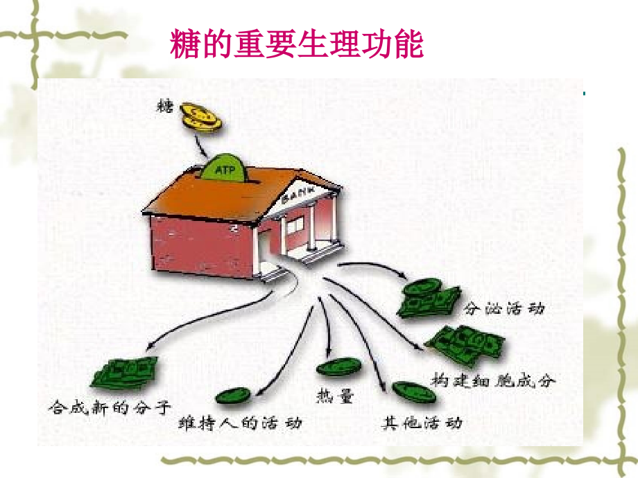 临床常用的生化免疫检查临床医学_第3页