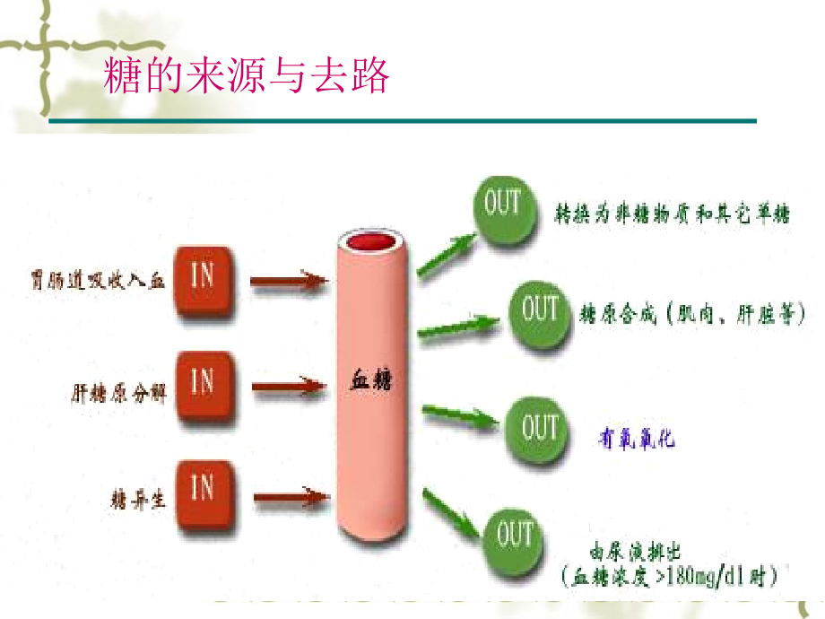 临床常用的生化免疫检查临床医学_第4页