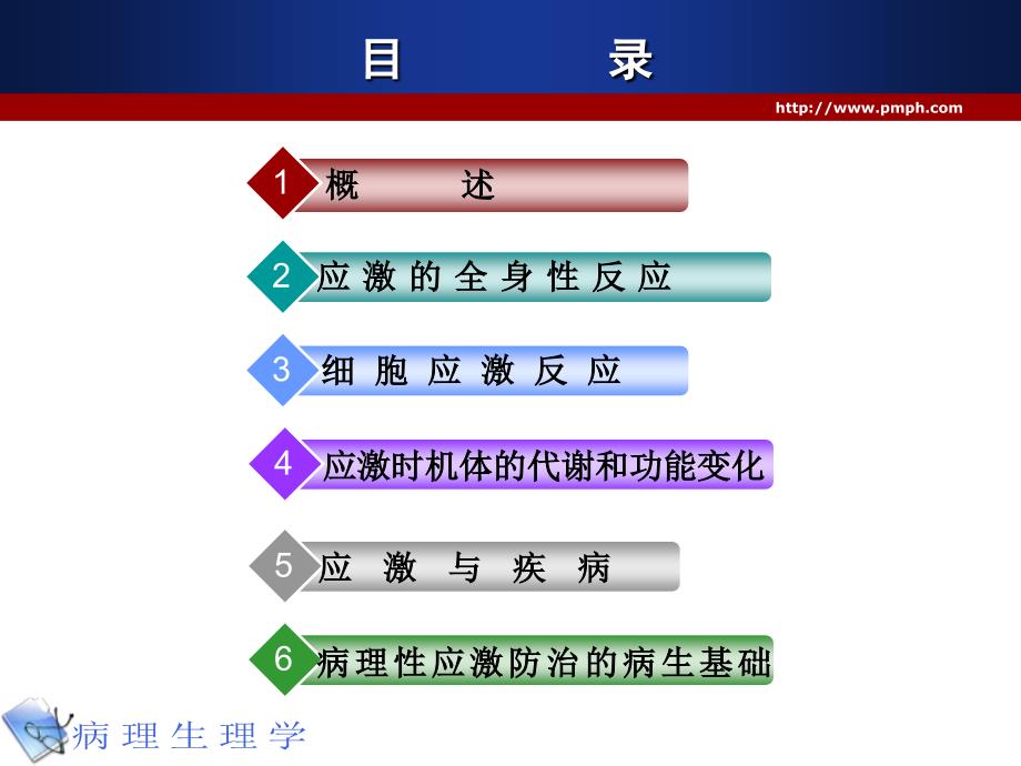 病理生理学应激_第2页