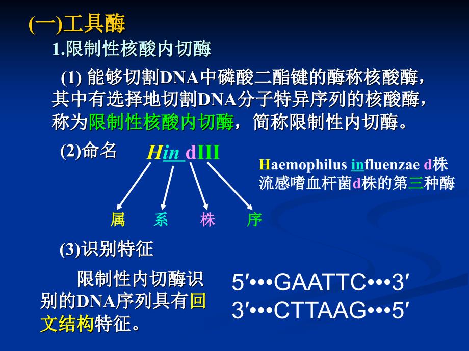 基因工程与分子生物学常用技术_第3页
