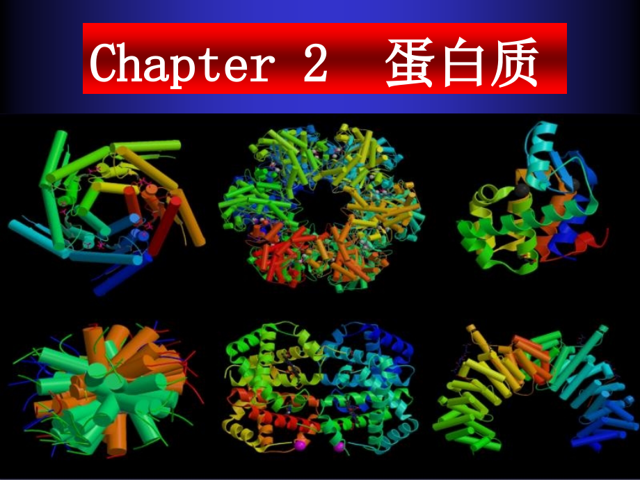 蛋白质2蛋白质结构_第1页
