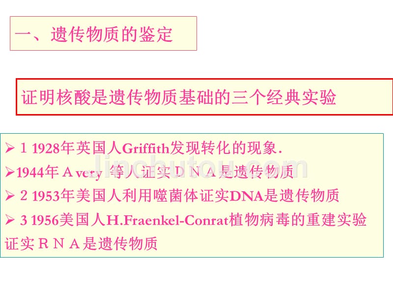 西华师范大学微生物学课件3宋波老师_第4页