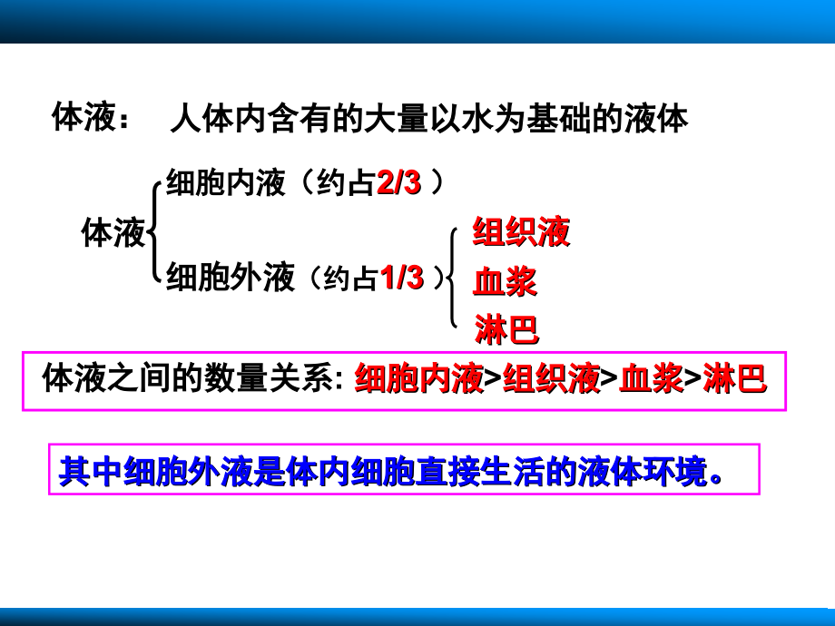 人体的内环境与稳态3课时_第3页