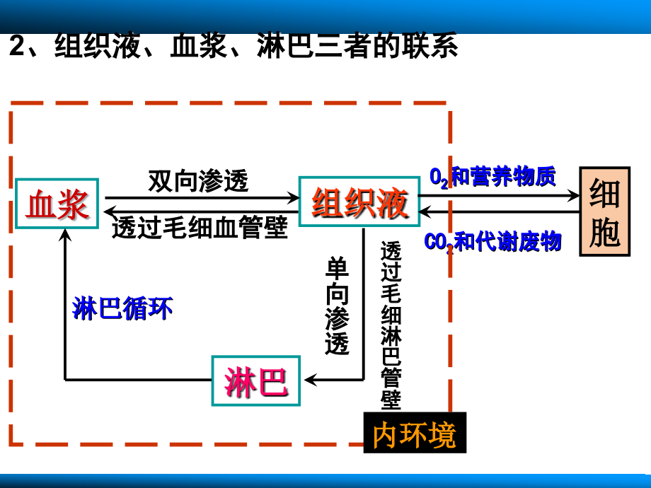 人体的内环境与稳态3课时_第4页