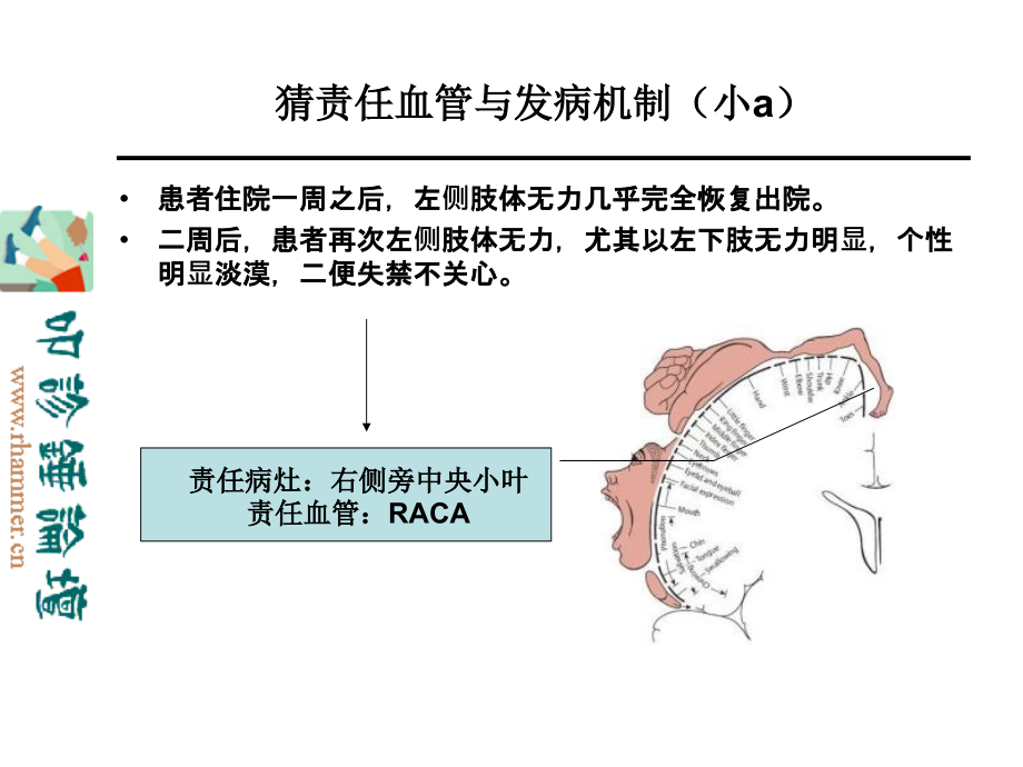 从影像学梗死部位推测责任供血血管_第3页